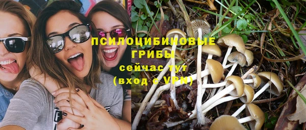 эйфоретик Осинники