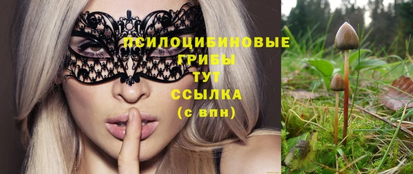 эйфоретик Осинники