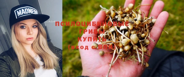 мяу мяу мука Остров