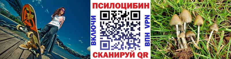 магазин    Ак-Довурак  OMG онион  Псилоцибиновые грибы мицелий 